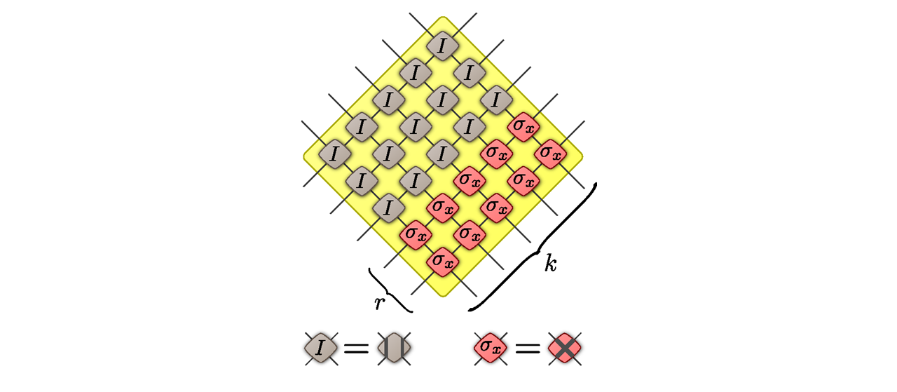 projet discrete space-time quantum simulators